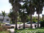 Derek's front yard...and his truck