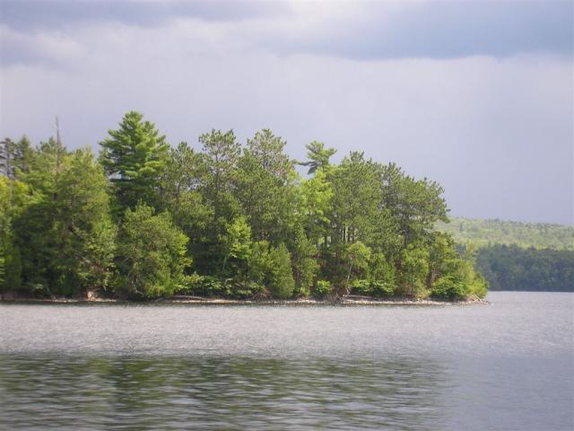 The tip of Harford's Point (where the camp is) from our dock