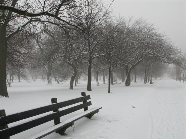 Chicago with fresh snow