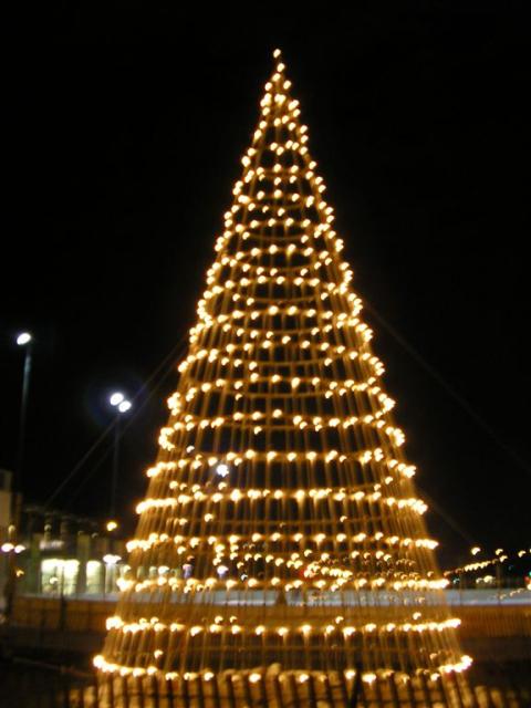 The Christmas Tree on the Midway...the skating rink is behind it