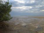 Clouds at low tide