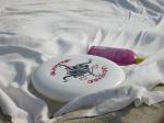 Frisbee, Blanket, Sunscreen...what else do you need in life?...I love this picture