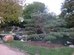 Ornamental tree with Gardens behind