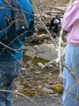 People attempting to cross the stream without getting soaked.