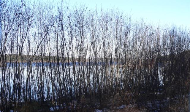 Obstructed view of the reservoir