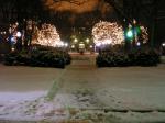 My favorite Chicago Campus shot...The main quads at night