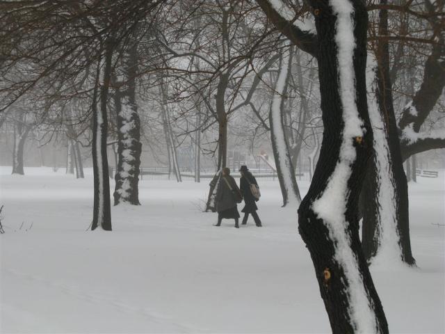 People walking through the park after a snowstorm