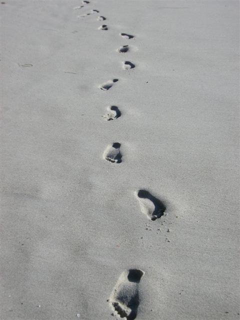 Footsteps.