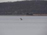 A rare sight-- a boat on the reservoir