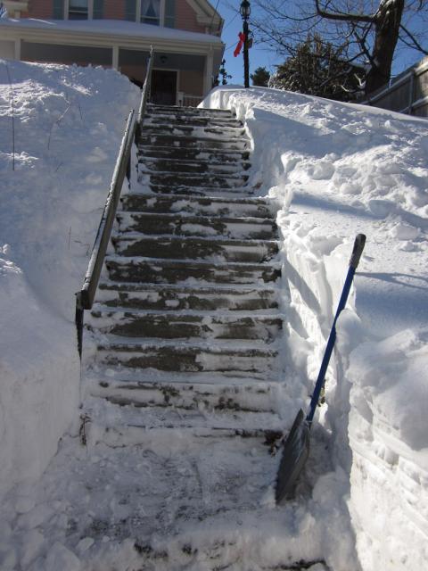 2011-01snow_ 017.jpg