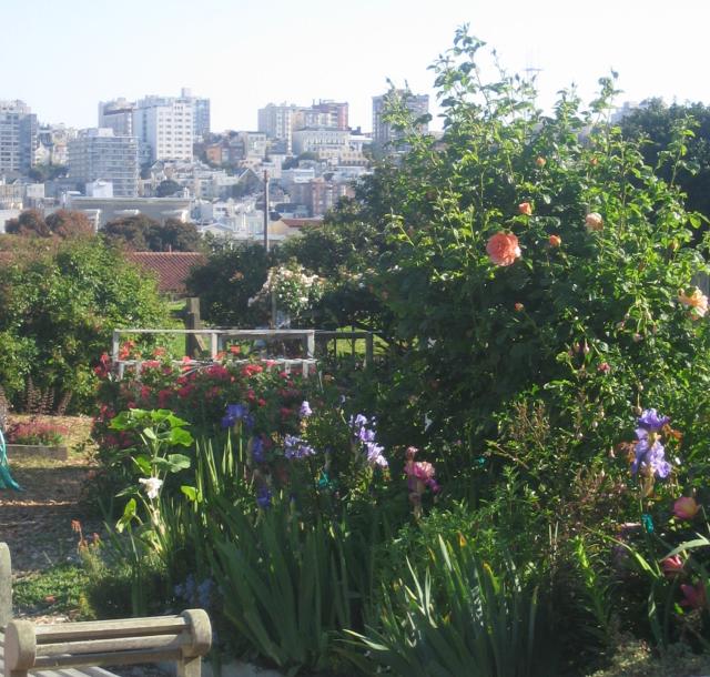 Caching in the community garden