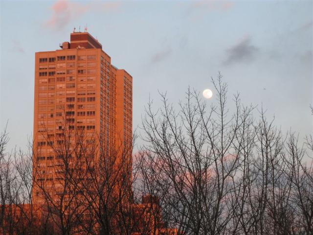 Moon over Hyde Park at dusk