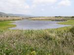 Estero de Limantour, Point Reyes