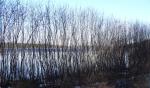 Obstructed view of the reservoir