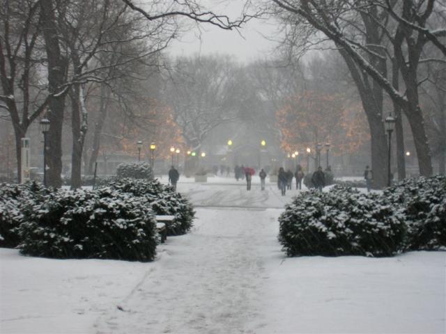 The main quads in the snow at dusk