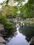 The pond in Osaka Gardens