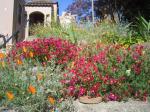 Berkley flower garden