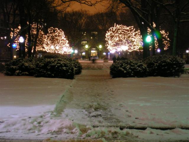 My favorite Chicago Campus shot...The main quads at night