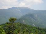 Cool tree in foreground, mountains behind