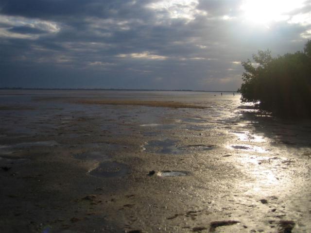 Sand flat near the causeway