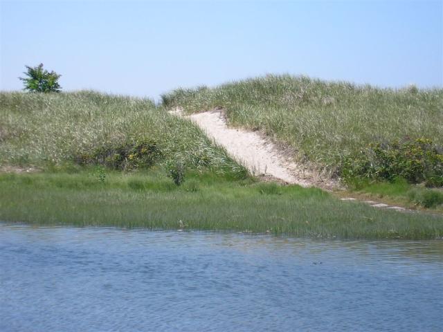 The Dunes of Pleasure Beach