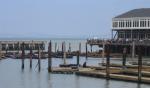 Pier 39 seals