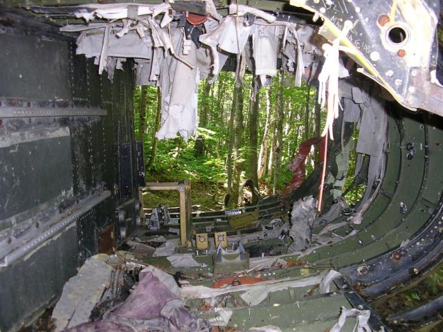 Inside of the wreckage...with forest behind