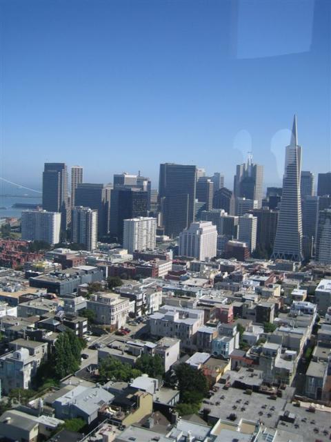 Downtown from Coit Tower