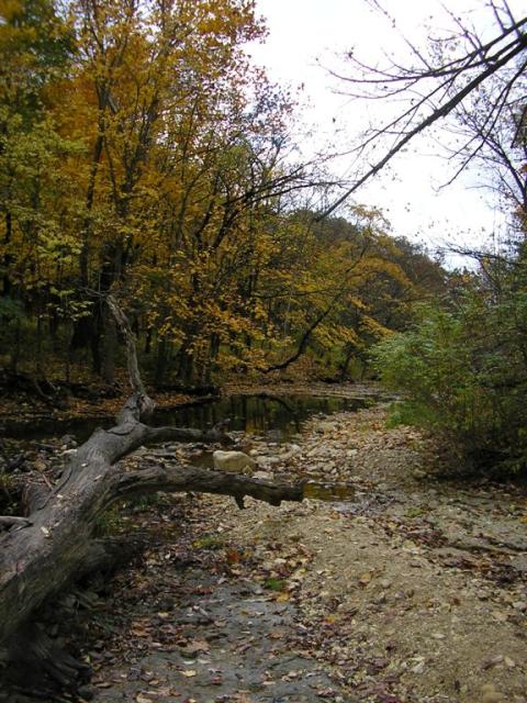 Pretty stream in the fall.