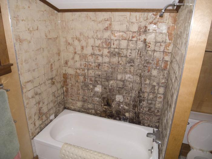 Bathtub with tile removed. We're hoping that the plywood will be solid enough to hold something after drying all winter.