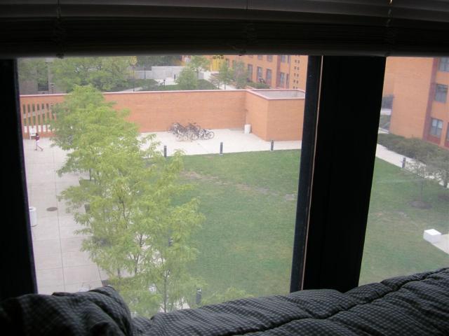 View from my room...the Max East Courtyard