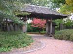 Osaka Gardens...one of the last remnants of the 1893 World's Fair in Hyde Park