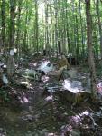 B-52 Crash Site on Elephant Mountain