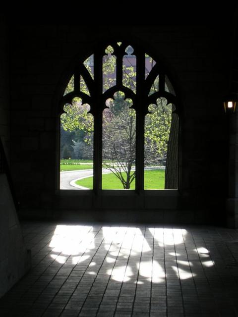 Pretty Window