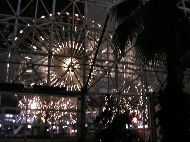 Ferris Wheel from inside Crystal Gardens