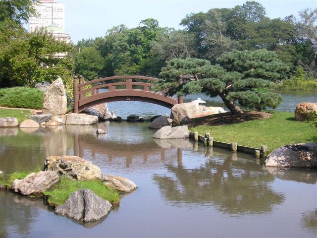 the pretty bridge and tree