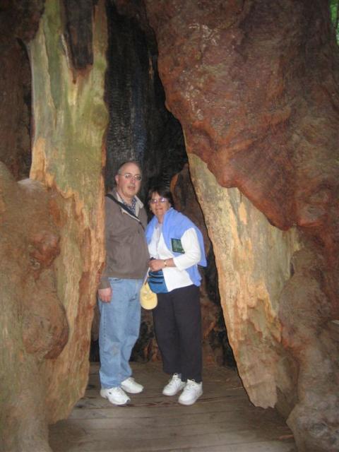 Anne & Jim inside a redwood