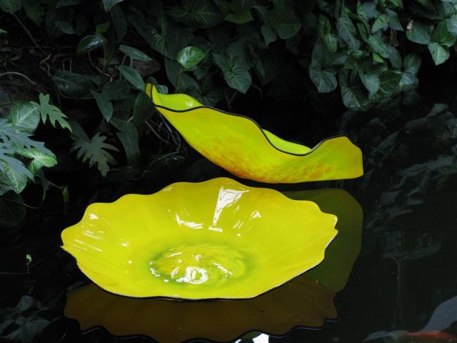 neat glass lily pads