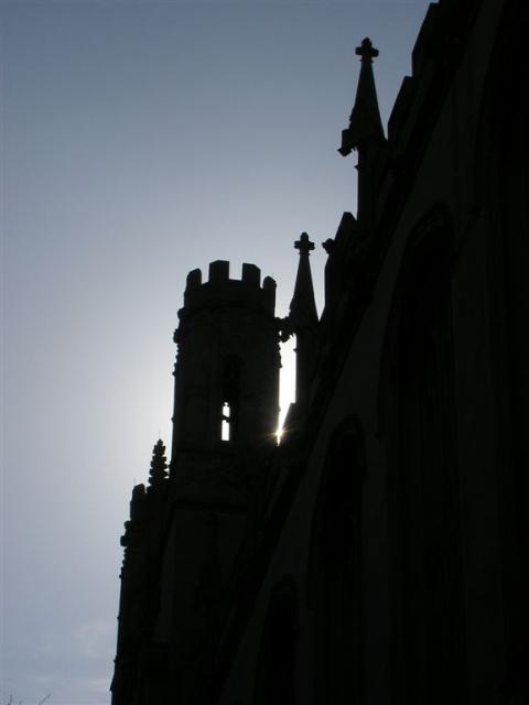 Harper Library in the Morning